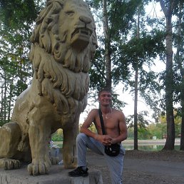 ���������, ������, 43 ����