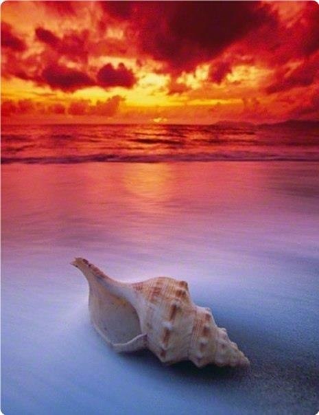  |  | - - 5  2019  17:02 - 2