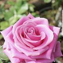 ���� ������, ������������, 55 ��� - ��������� 22 ���� 2018 � ������ �2018�