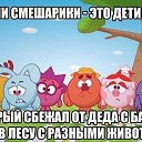 ���� ������, �����-��������� - ��������� 4 ������ 2018 � ������ ������ ��������