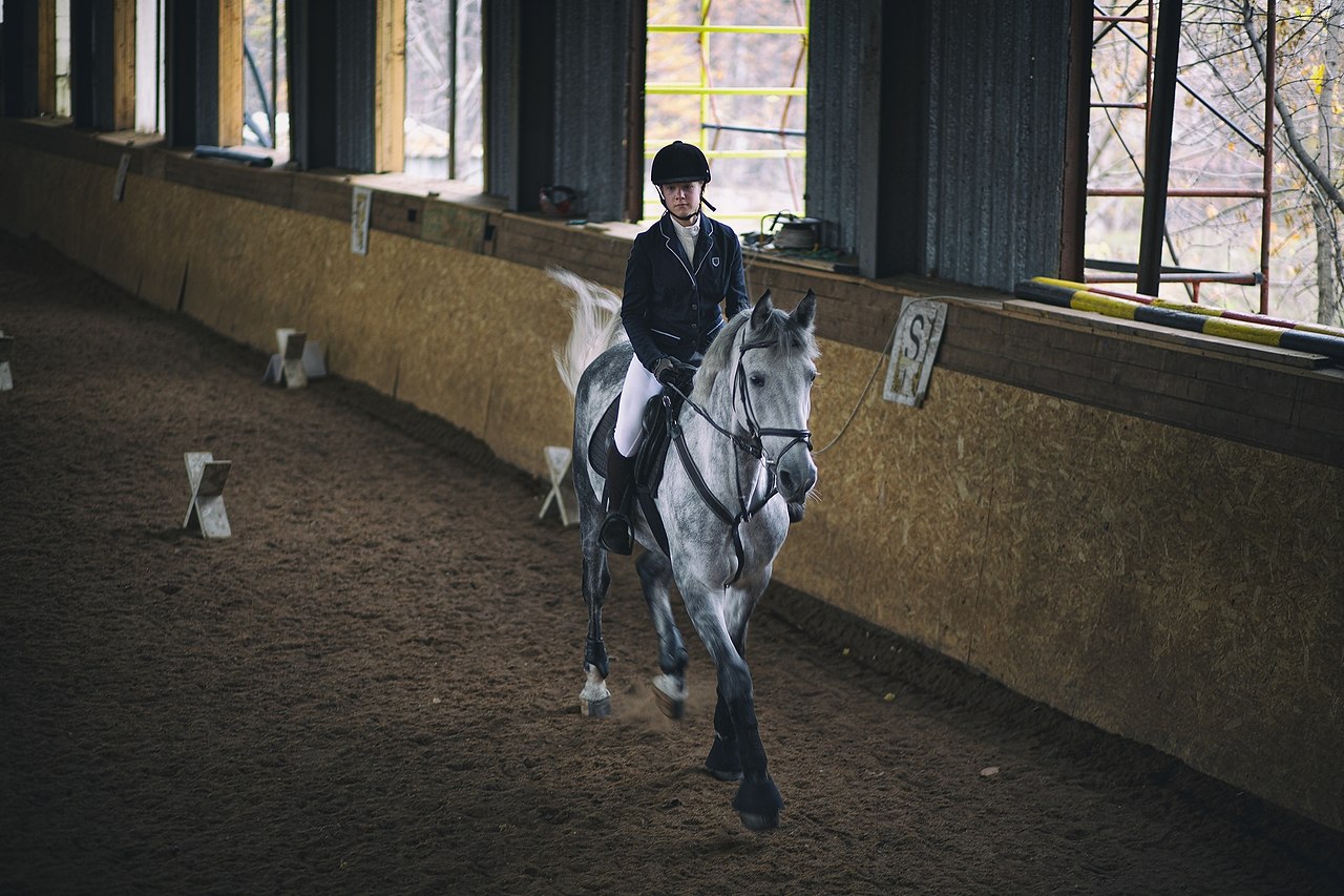 Интимхаус мкад 38-й. Прованс ясенево конный. Кск прованс ясенево. Конная школа прованс. Кск прованс.