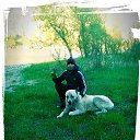 ���� �������, ������, 41 ��� - ��������� 15 ������� 2018 � ������ ���� ����������