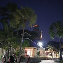  Tanya, , 65  -  17  2019    2019