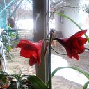 ���� �������, ����, 72 ���� - ��������� 14 ������� 2019 � ������ ���� ����������