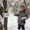 ���� Dar��, ������ - ��������� 8 ������ 2019 � ������ ���� ����������