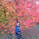 ���� �����, ����� - ��������� 1 ������ 2018