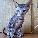 ���� ���, ������� - ��������� 27 �������� 2018 � ������ ���� ����������