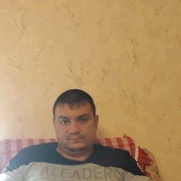 �������, ���������, 43 ����