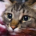  Eduardas, - -  4  2018    