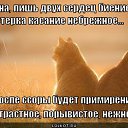 ���� �����, ��������� - ��������� 22 ������� 2018 � ������ ���� ����������