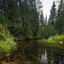 ���� ������, ����������� - ��������� 17 ������� 2018 � ������ ������ ��������