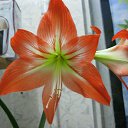 ���� ������, ���������� - ��������� 3 ������� 2018 � ������ ���� ����������