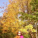 ���� ����, ������ - ��������� 27 ������� 2018 � ������ ���� ����������