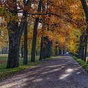 ���� �����, �����-��������� - ��������� 23 ������� 2018 � ������ ���� ����������