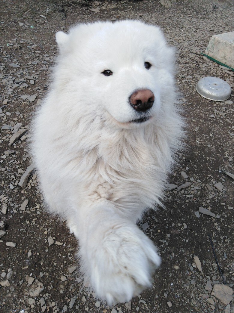  - 27  2019  18:49 - 8