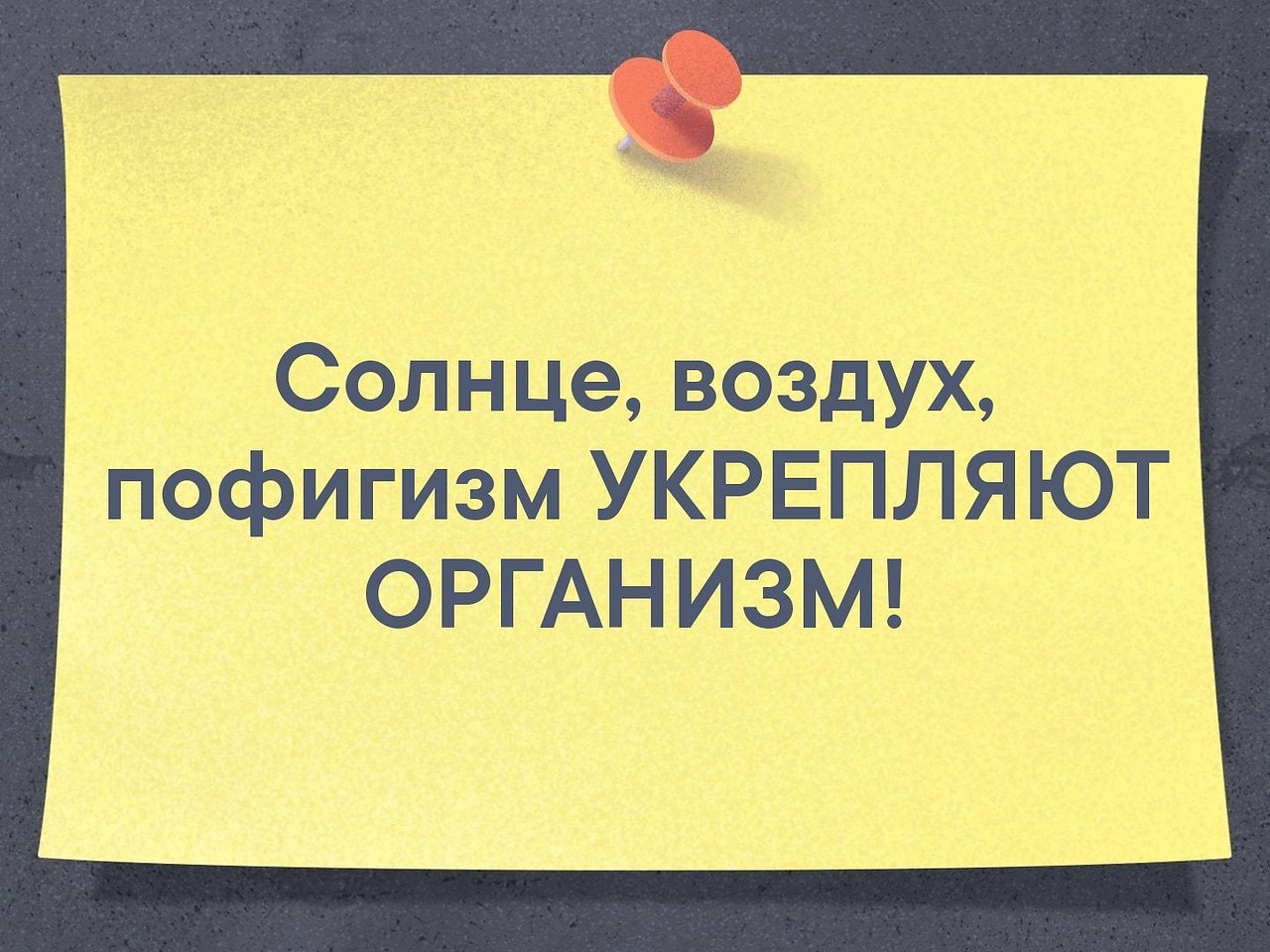   - 28  2019  03:23
