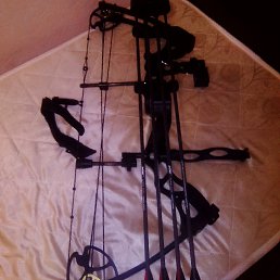 ���� ������, �����, 54 ���� - ��������� 28 ������ 2019