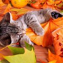 ������� � ��������! �� ������� ������ ������