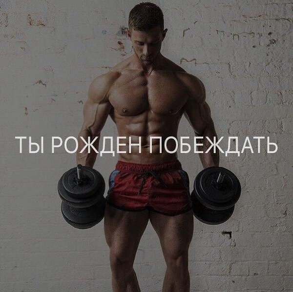 SportFeed - 8 января 2019 в 16:38