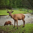  , -, 64  -  9  2019   - 