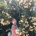 ���� �������, ���������� - ��������� 14 �������� 2018 � ������ ���� ����������