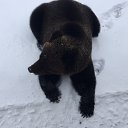 ���� ���������, ���������, 45 ��� - ��������� 12 ������� 2018 � ������ ���� ����������