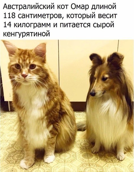    - 29  2018  16:55