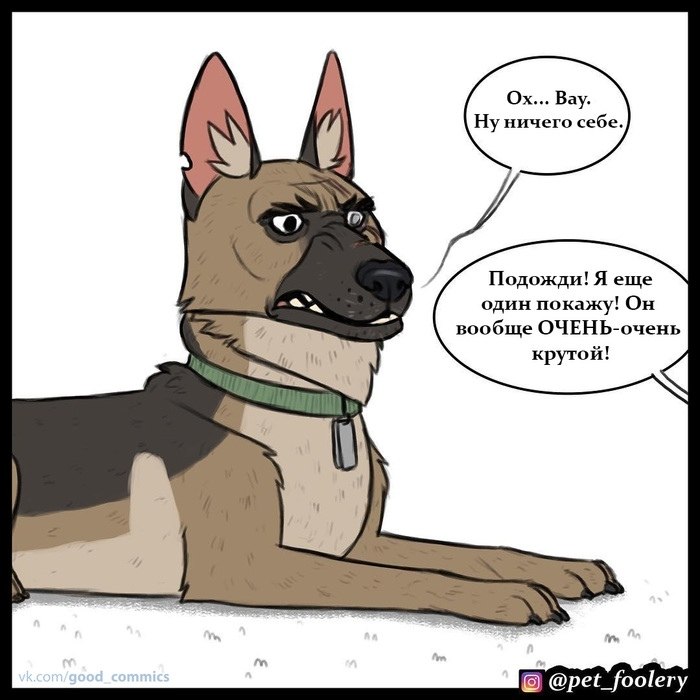  ,     - 5