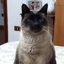 ���� �����, �������, 59 ��� - ��������� 26 ������� 2018 � ������ ���������� ������