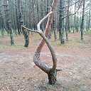 ���� Jurij, ����, 47 ��� - ��������� 5 ������� 2018 � ������ ������ ��������