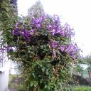 ���� ��������, ��������, 82 ���� - ��������� 24 ������� 2019 � ������ ���� ����������