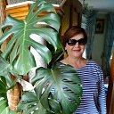 ���� �����, ���� - ��������� 28 ������� 2018 � ������ ���� ����������