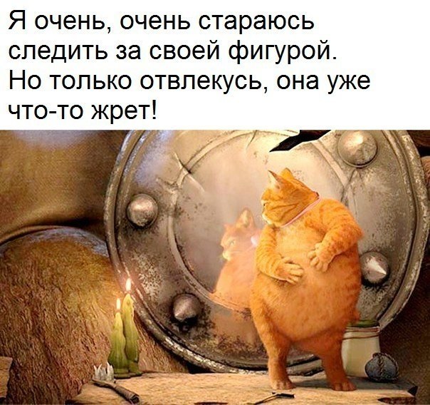   - 9  2019  16:32