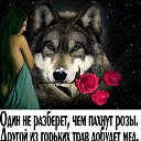 ���� Ivan, ��������� - ��������� 9 ������� 2018 � ������ ������ ��������