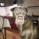 ���� �������, ����, 52 ���� - ��������� 28 ������� 2018 � ������ ���� ����������