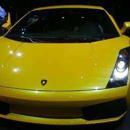 Alexander, ������, 66 ���