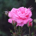  ,  -  6  2018      ...