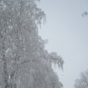 ���� ���������, ���� - ��������� 24 ������� 2018 � ������ �����-��������� ����� ����� �����
