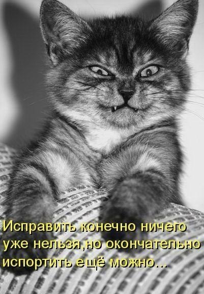Art & Fun - 13  2018  16:33