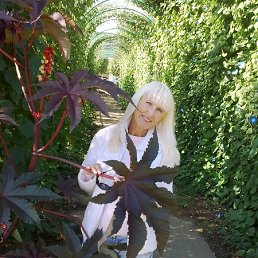 �����, ���������� �����, 67 ���