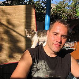 ������, �����, 45 ���