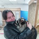 ���� �������, �������� - ��������� 17 ����� 2019 � ������ ���� ����������