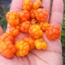 ���� ����, �������� - ��������� 23 �������� 2018 � ������ ������ ��������