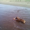 ���� ����, ���������, 59 ��� - ��������� 12 ������� 2019 � ������ ���� ����������