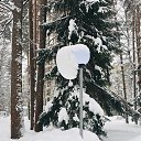 ���� Ludmila Oranicheva�, �����-���������, 75 ��� - ��������� 11 ������� 2019 � ������ ���� ����������