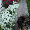  ,  -  31  2018   ...