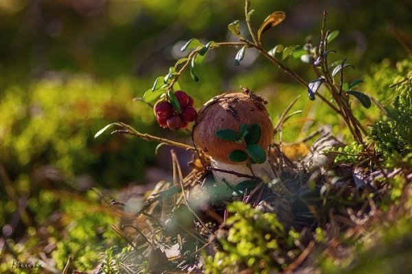 Boooa oa. aoa a aoa! - 8