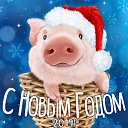 ���� ���������, �����-���������, 55 ��� - ��������� 2 ������ 2019 � ������ ������ ��������