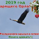 ���� �������, ������� - ��������� 12 ������ 2019 � ������ ������