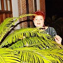 ���� ��������, ������ - ��������� 29 ������� 2018 � ������ ���� ����������